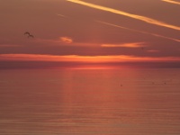 2016-05-09 05h09m38 - Zonsopkomst Kolka - Gerda van der Meer